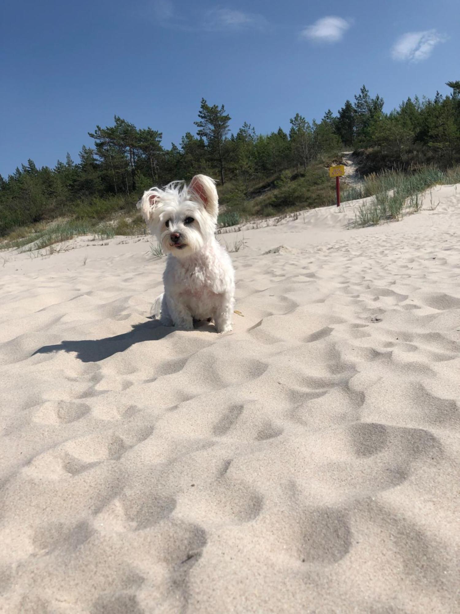 Baltic Holidays Gąski Εξωτερικό φωτογραφία