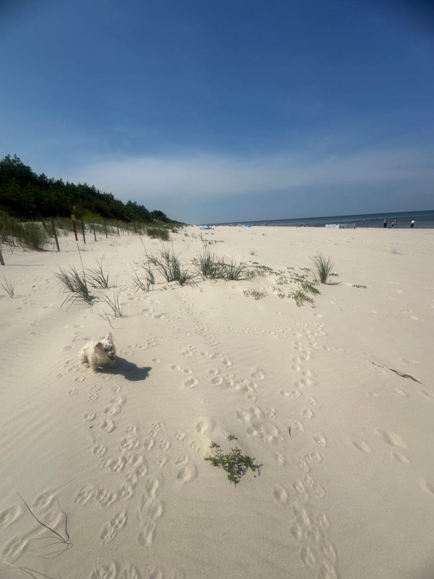 Baltic Holidays Gąski Εξωτερικό φωτογραφία